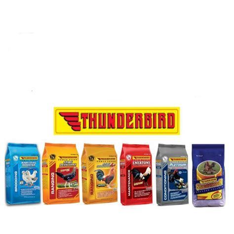 thunderbird feeds logo|Product Identity Assets .